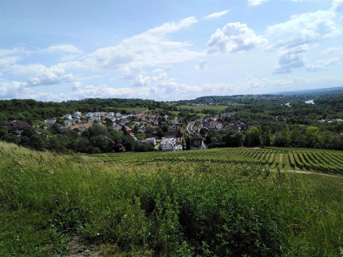Ferienwohnung Wisser- Fernblick Бад-Беллинген Экстерьер фото